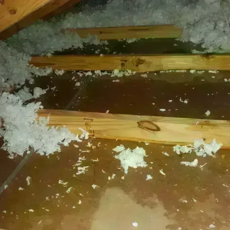 Attic Water Damage in South Jordan Heights, UT